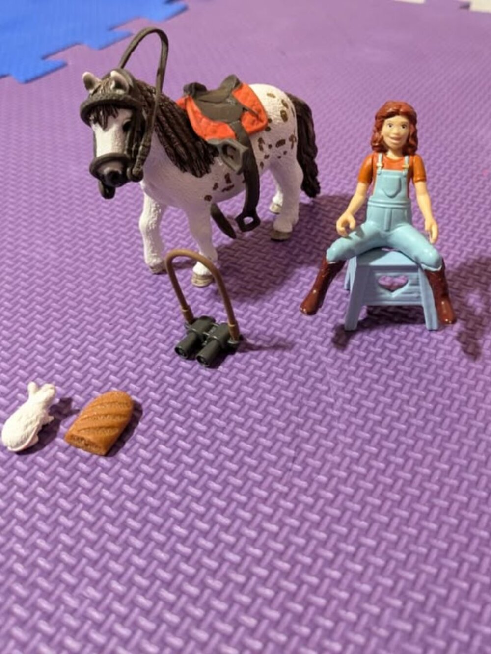Schleich Horse Club